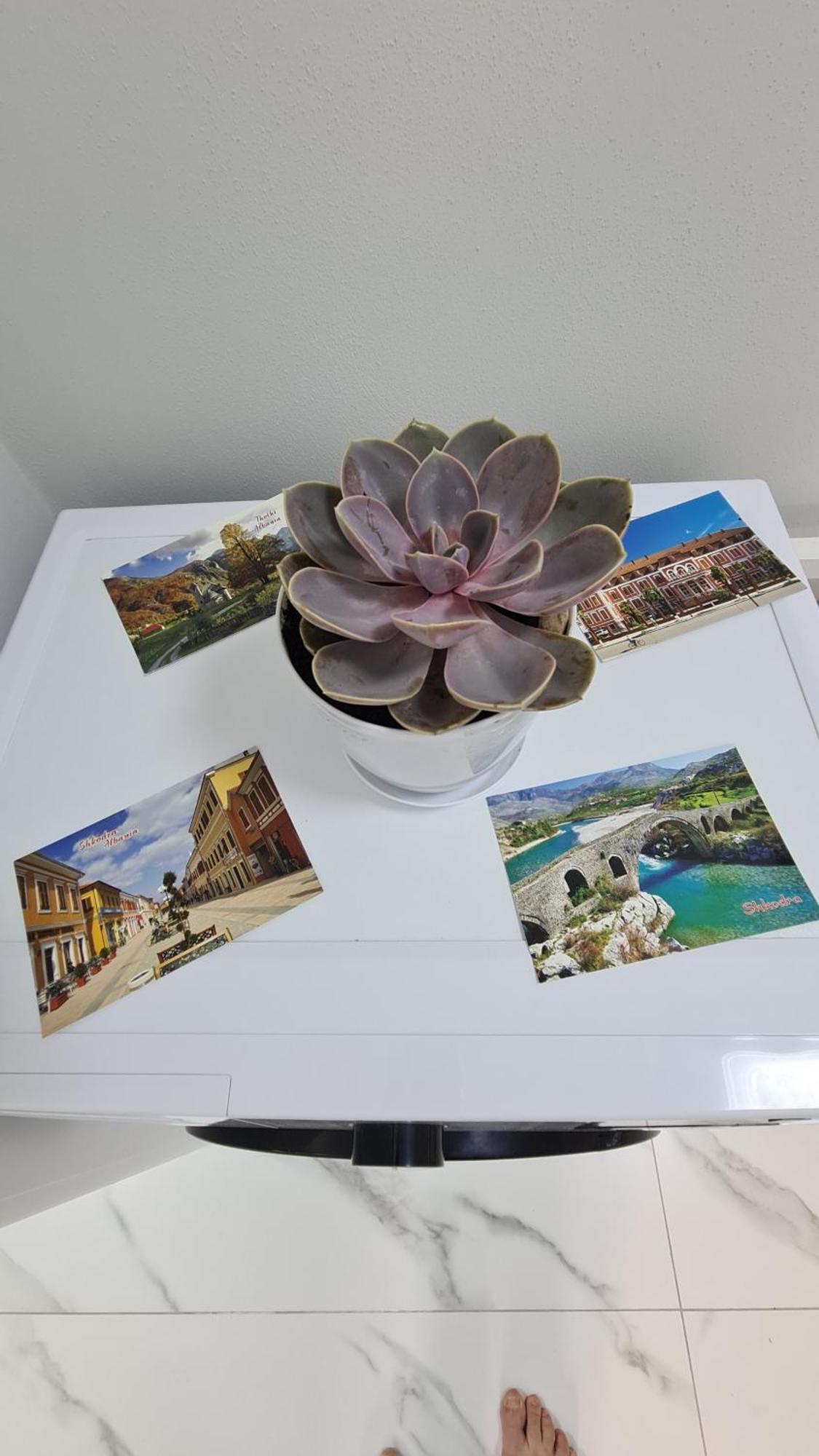Dei Cozy Apartment Shkoder Bagian luar foto