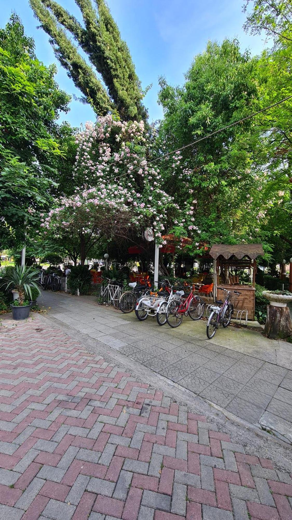 Dei Cozy Apartment Shkoder Bagian luar foto