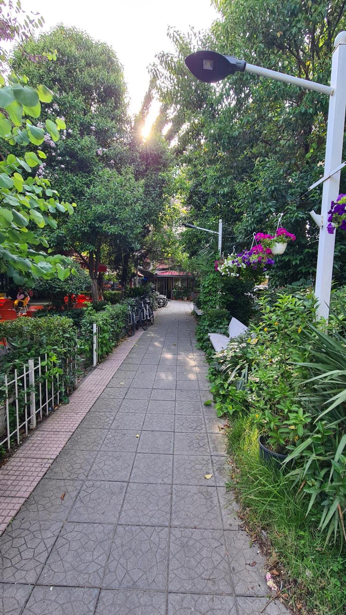 Dei Cozy Apartment Shkoder Bagian luar foto