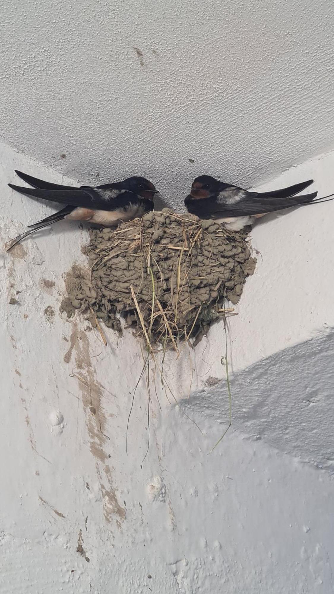 Dei Cozy Apartment Shkoder Bagian luar foto